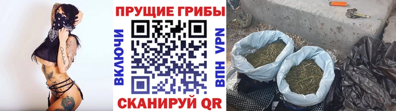 Псилоцибиновые грибы Cubensis Купить закладки Старый Крым